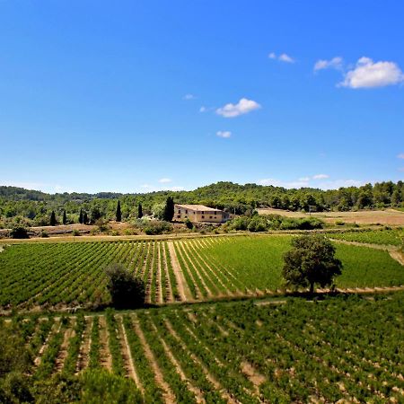 Гостевой дом Domaine De Palats Laure-Minervois Экстерьер фото
