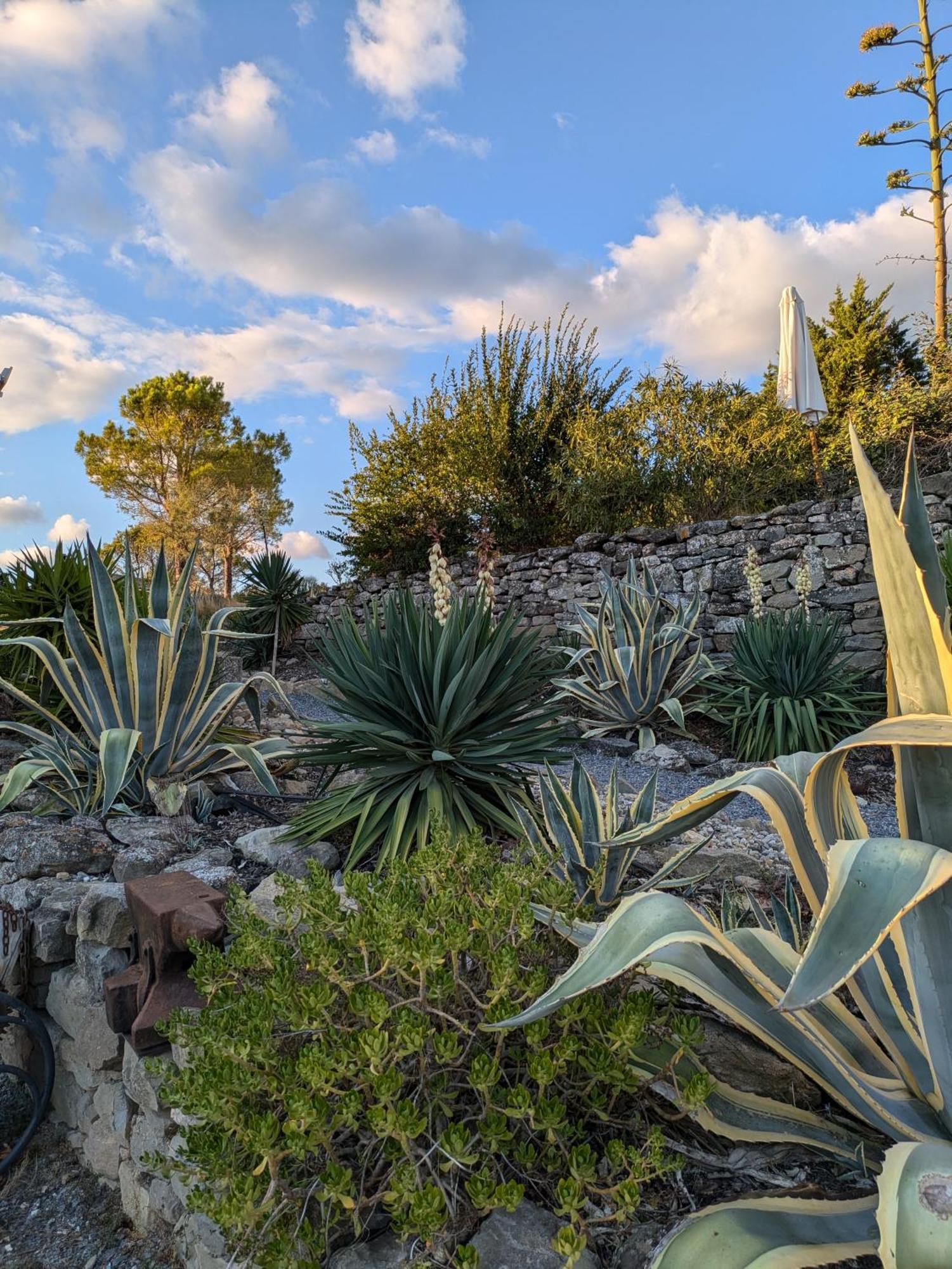 Гостевой дом Domaine De Palats Laure-Minervois Экстерьер фото