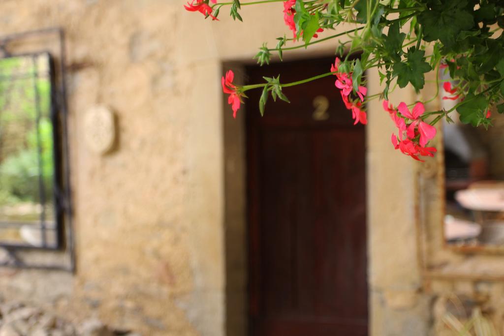 Гостевой дом Domaine De Palats Laure-Minervois Экстерьер фото
