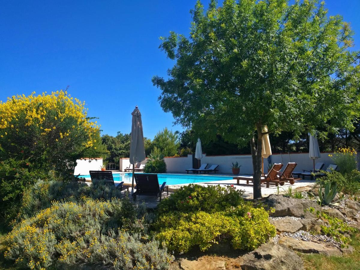 Гостевой дом Domaine De Palats Laure-Minervois Экстерьер фото