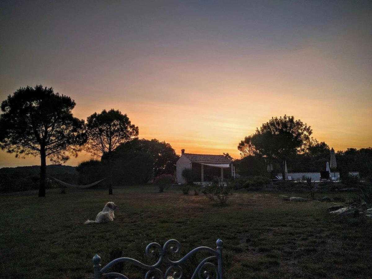 Гостевой дом Domaine De Palats Laure-Minervois Экстерьер фото