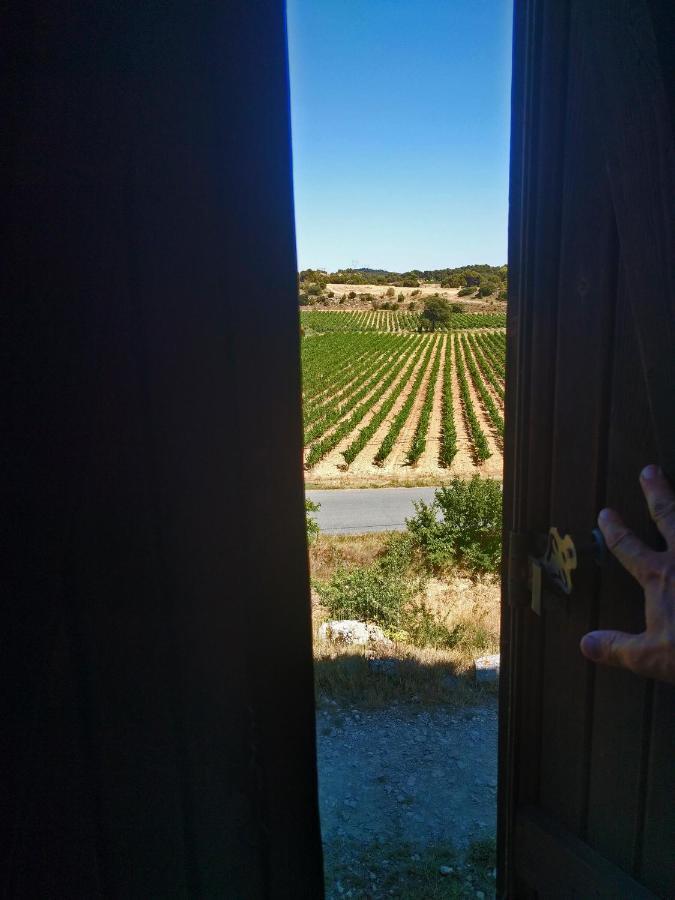 Гостевой дом Domaine De Palats Laure-Minervois Экстерьер фото