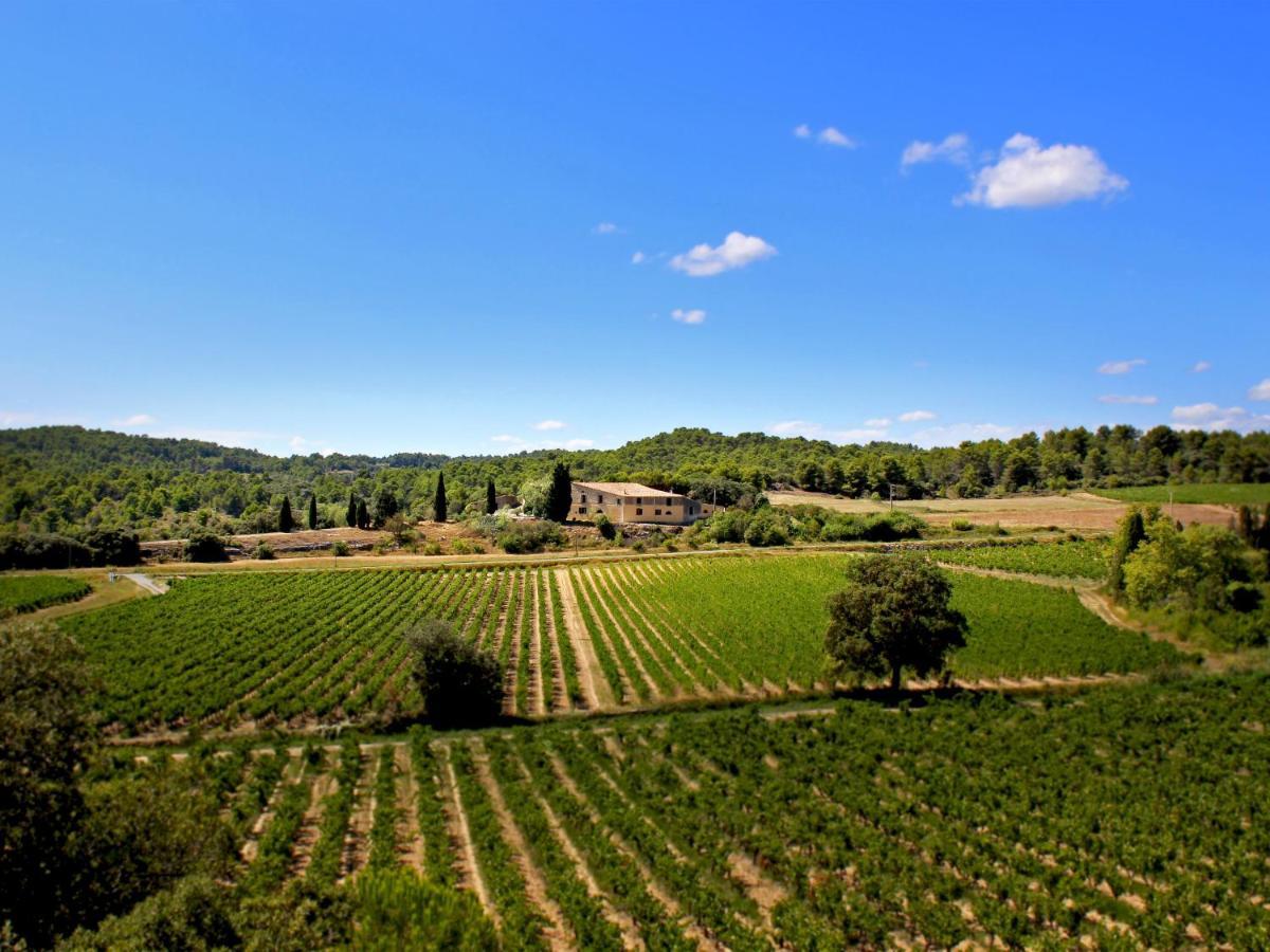 Гостевой дом Domaine De Palats Laure-Minervois Экстерьер фото